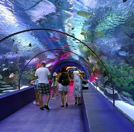 The Classe Collection Superior 12 Apartament *